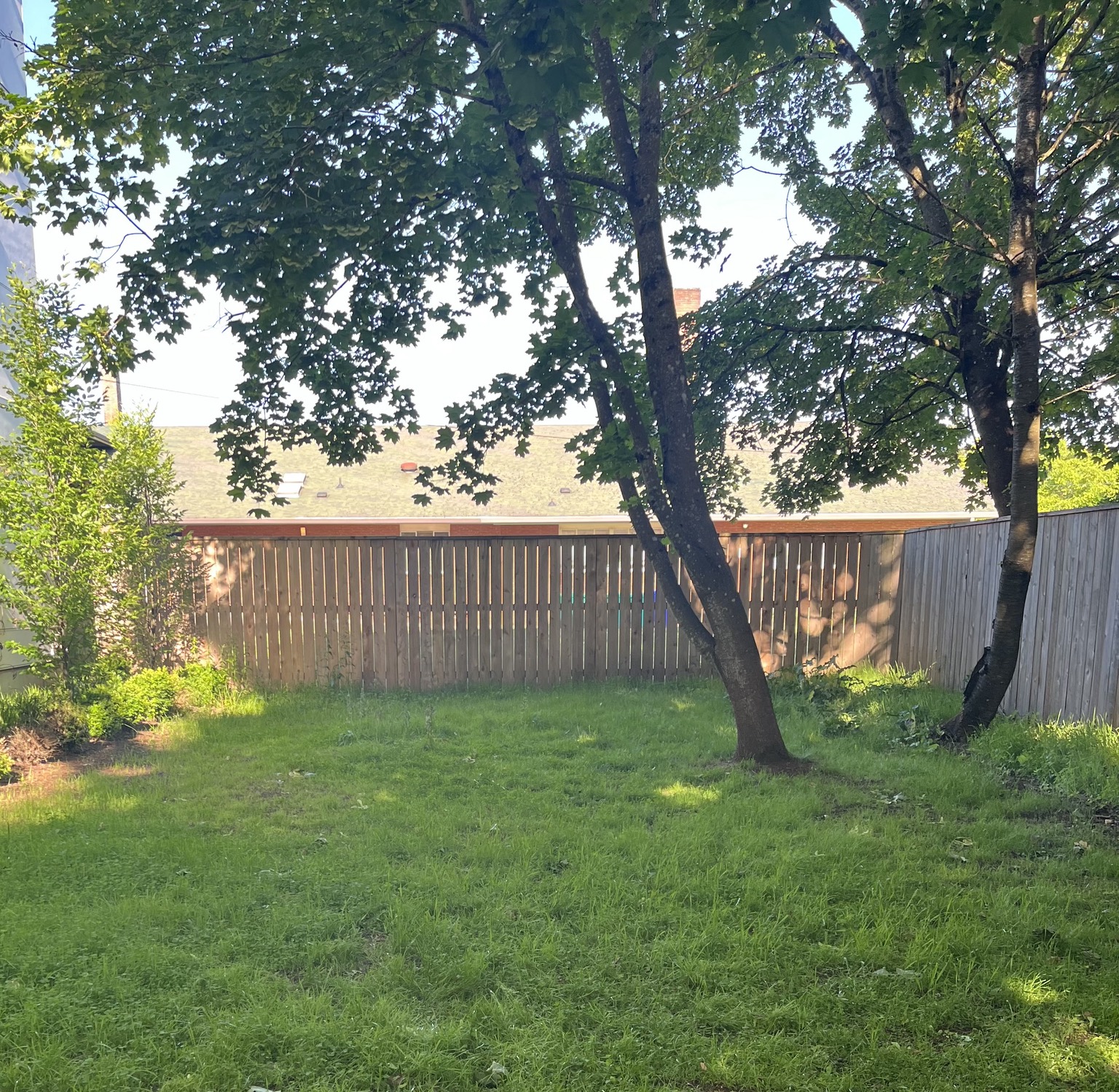Freshly maintained lawn beneath mature shade trees after a seasonal property cleanup